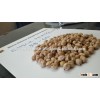 Indian Kabuli Chickpeas ( 9mm ) With High Quality