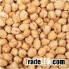 Chick Peas