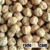High Quality and Best Selling Chickpeas