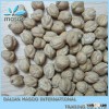 Chick Pea With Good Price from China, Xinjiang Province