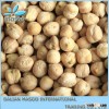 organic kabuli chickpea from china