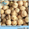 kabuli chickpeas varieties