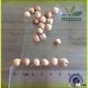 organic kabuli and desi chickpeas