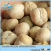 Worldwide Chickpeas Exporters