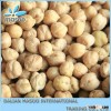 Chickpeas 2012 Good Quality