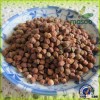 dried chickpea, chickpeas