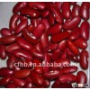 dark red kidney beans British type