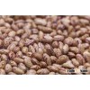 Best Pinto Beans