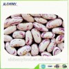 light speckled kidney bean from China