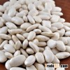 WHITE AND RED KIDNEY BEANS