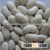 white kidney bean