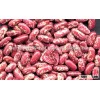 Red Light Speckled Kidney Beans