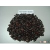 Red Kidney Beans (Myanmar)