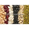 Best Quality Kidney Beans from South Africa