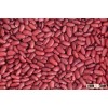 HIGH QUALITY RED AND WHITE KIDNEY BEANS FOR SALE