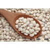 NEW/OLD CROP WHITE KIDNEY BEANS - GOOD QUALITY - GOOD PRICES