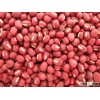 Red Adzuki Bean