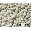 Quality White Kidney beans,Red and Black Kidney beans,Kidney beans