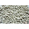 White Kidney Beans
