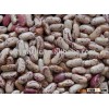 light speckled kidney beans