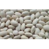 White Kidney Beans