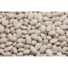 White Kidney beans available