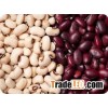 NEW and OLD CROP WHITE and RED KIDNEY BEANS