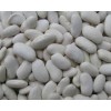 canned Red kidney beans /canned white kidney bean