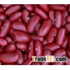 Great Northern Kidney Beans/Light Red Kidney Beans