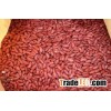 High quality low price healthy food nutritious delicious ethiopian red kidney beans