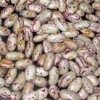 light Speckled Kidney Beans (180-200pcs/100grams) / WHITE KIDNEY BEANS