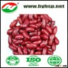 Red Kidney Bean