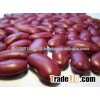 Red Kidney bean