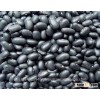 BLACK KIDNEY BEANS, KIDNEY RED BEANS FOR SALE