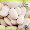 large white kidney beans/egyptian white kidney beans/price of white kidney beans of 2014 new crop