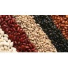 White Bean and White Kidney Beans !!!