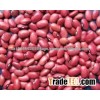 RED KIDNEY BEANS