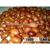 Red Speckled Kidney Beans big and small size high quality Grade A for sale