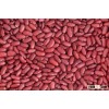 100% Black, red and white Kidney Beans for sale at cheap prices.