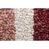 Pure Red Kidney Beans Pure Red Kidney Beans