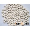 Black/Red/white kidney beans