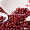 New Crops Small Red Kidney Beans Red Beans with Best Price