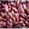 Purple Speckled Kidney Beans