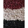 Black, Red, And White Kidney Beans big and small size high quality Grade A for sale