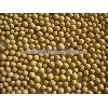 Soya Beans high quality Soya Beans for sale now in stock