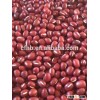 Competitve price small/adzuki red kidney beans