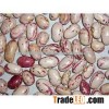 Light Speckled Kidney Beans big and small size high quality Grade A for sale
