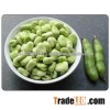 Broad Beans high quality Broad Beans Grade A for sale