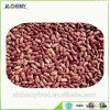 Chinese Yi'an red speckled kidney bean