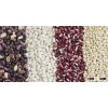 100% Black, red and white Kidney Beans for sale at cheap prices